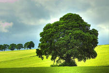 Concept Reducing Air Pollution