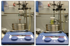 Concept Replication in Science