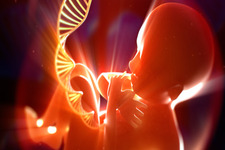Concept Reproduction and Human Development