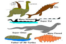 Concept Reptile Classification
