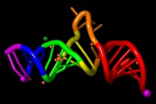 Concept RNA