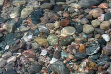 Concept Rocks