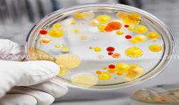 Concept Science Experiments