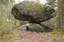 Concept Scientific Explanations and Interpretations