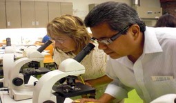 Concept Scientific Investigation