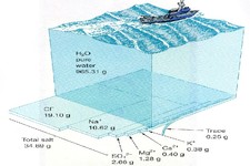 Concept Seawater Chemistry