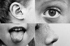 Concept Senses