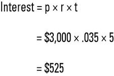 Concept Simple Interest