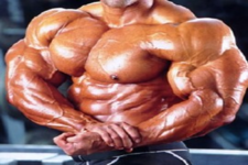 Concept Skeletal Muscles