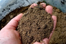 Concept Soils