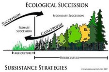 Concept Succession