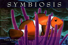Concept Symbiosis