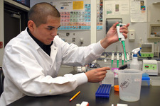 Concept Technology Careers