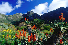 Concept Temperate Climates