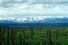 Concept Terrestrial Biomes
