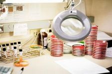 Concept Testing a Hypothesis for Dependent and Independent Samples