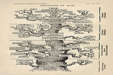 Concept Tracing Evolution