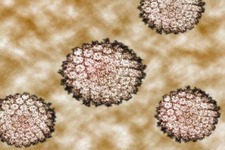 Concept Viral Sexually Transmitted Infections