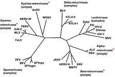 Concept Virus Classification