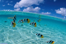 Concept Water and Life