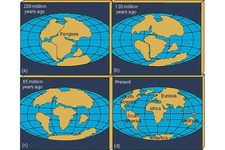 Concept Wegener and the Continental Drift Hypothesis
